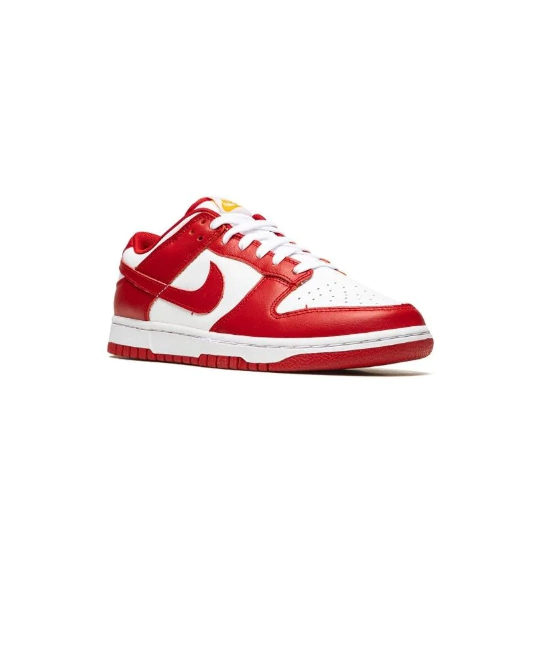 DUNK LOW RETRO SE SNEAKERS